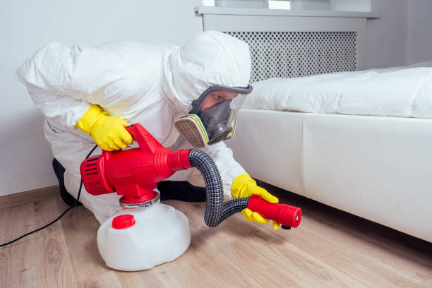 Best Wasp Removal Services  in Splendora, TX